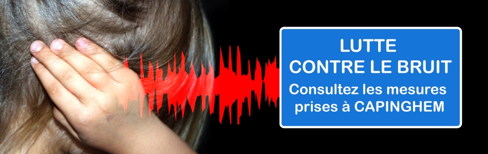 Lutte contre le bruit : consultez les mesures prises à Capinghem